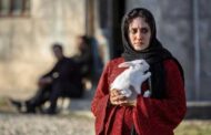 «فجر۳۹» با «تی‌تی» به سر می‌رسد