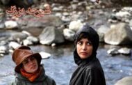 اولین حضور جهانی فیلم «شیرجه بزرگ» در جشنواره فنتسپوآ برزیل