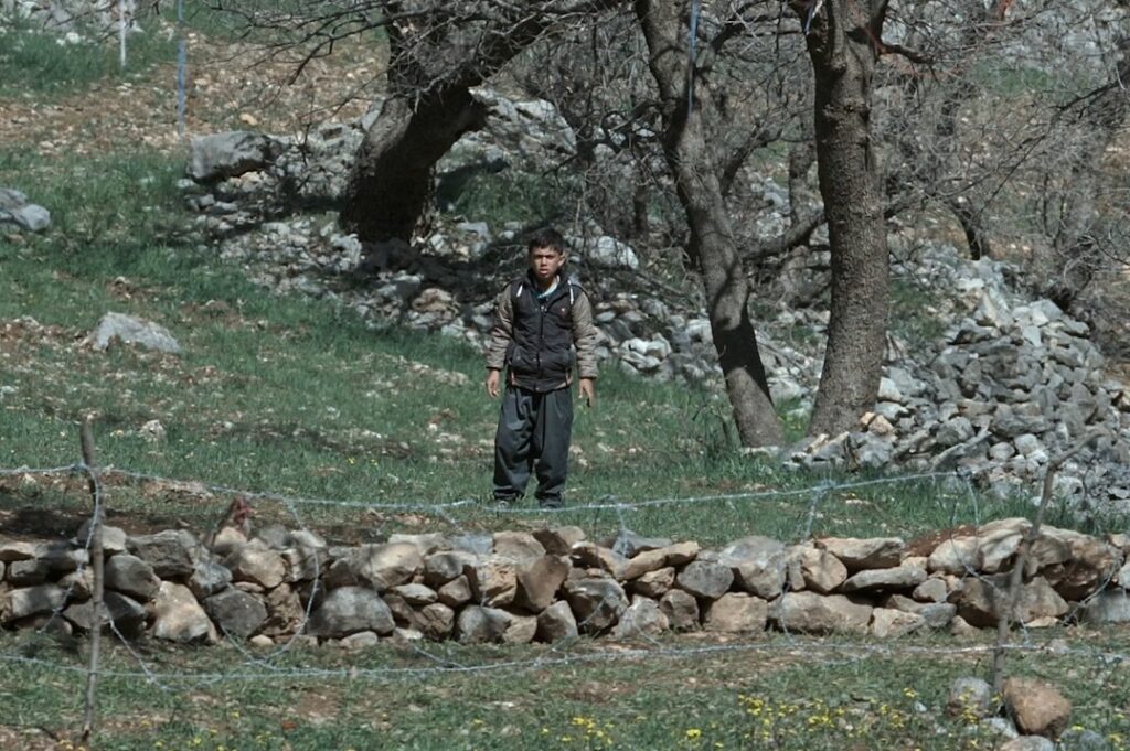 جشنواره فیلم «نانسی» میزبان 3سینماگر ایرانی