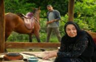 در کنار پروانه‌ها؛ موضوعی تکراری با پرداختی هنرمندانه و جذاب