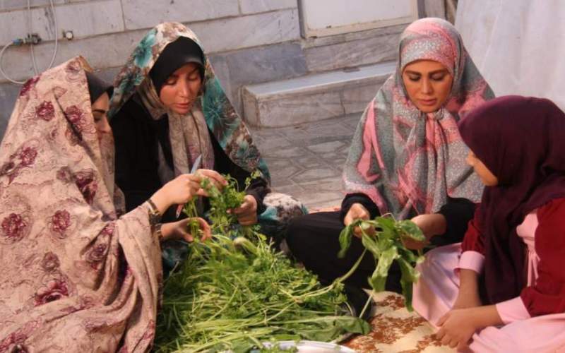 آمادگی حضور در جشنواره ها از سوی 