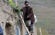 «پیرمردها نمی‌میرند» در صف اکران آنلاین ایستاد!