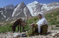 سوژه در مستند گاهی علیه خود عمل می‌کند