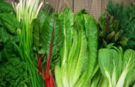 با سبزیجات سرشار از پروتئین آشنا شوید