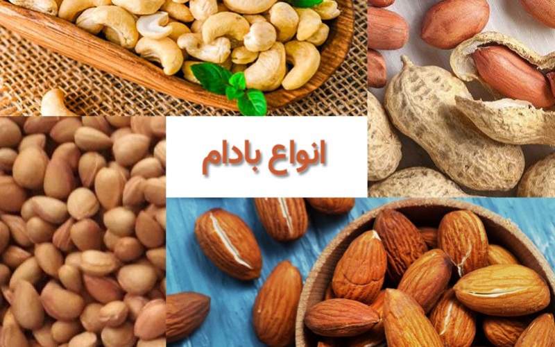 آشنایی با خاصیت‌های بادام‌ها