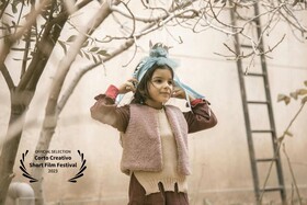 «با من فریاد بزن» در جشنواره فیلم کوتاه مکزیک