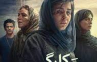شبنم مقدمی با فیلم «زنبور کارگر»در سینمای آنلاین