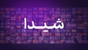 یک VOD جدید مجوز گرفت /به وقتِ «شیدا»یی سینما