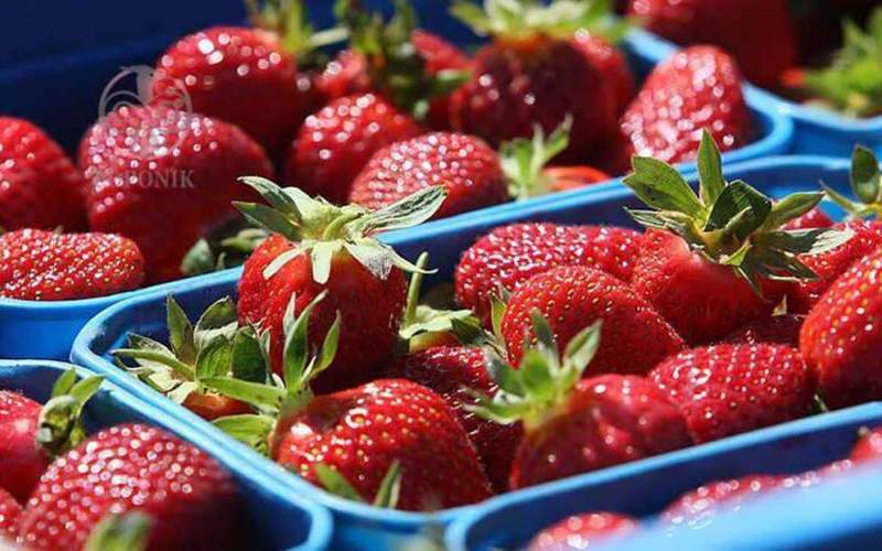 چرا غذای این رنگی دوست دارید؟