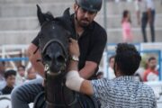 روایتی از تاریخچه اسب کُرد و جنایتی در دل فیلم‌برداری