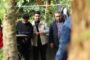احتشامی:«پاپایا»؛ روایتی از سنت‌های خفه‌کننده علیه دختران
