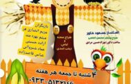 نمایش شاد و موزیکال دزدان کلاغی در فرهنگسرای نیاوارن روی صحنه
