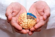 یا راهی برای پیشگیری از آلزایمر آشنا شوید