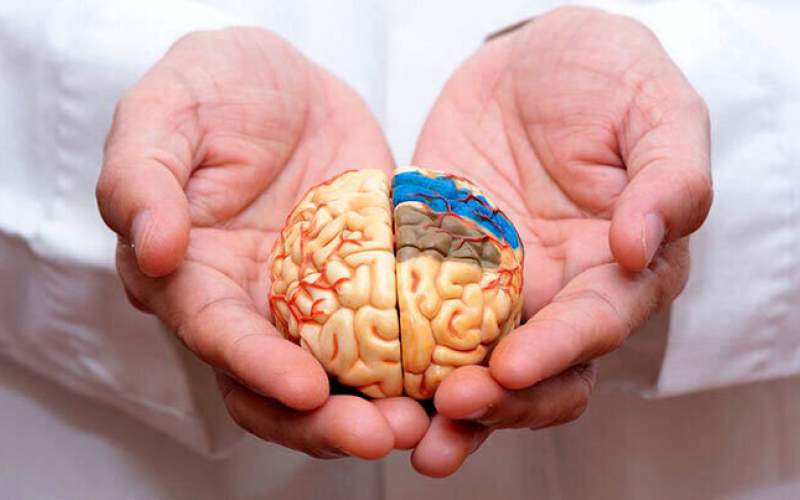 یا راهی برای پیشگیری از آلزایمر آشنا شوید
