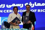 جویباری: مثل برخی مدیران سابق دنبال باخت استقلال نیستم