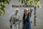 «خرگوش سیاه خرگوش سفید» راهی شیکاگو شد
