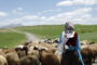 «دشت می‌خواند» در ۲ جشنواره فرانسوی